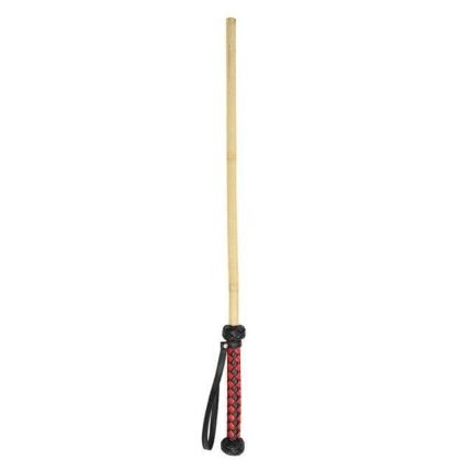 Spank Me Crazy Cane Sex Toy